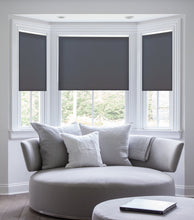 Load image into Gallery viewer, Contemporary Fabric Light Filtering Roller Shades