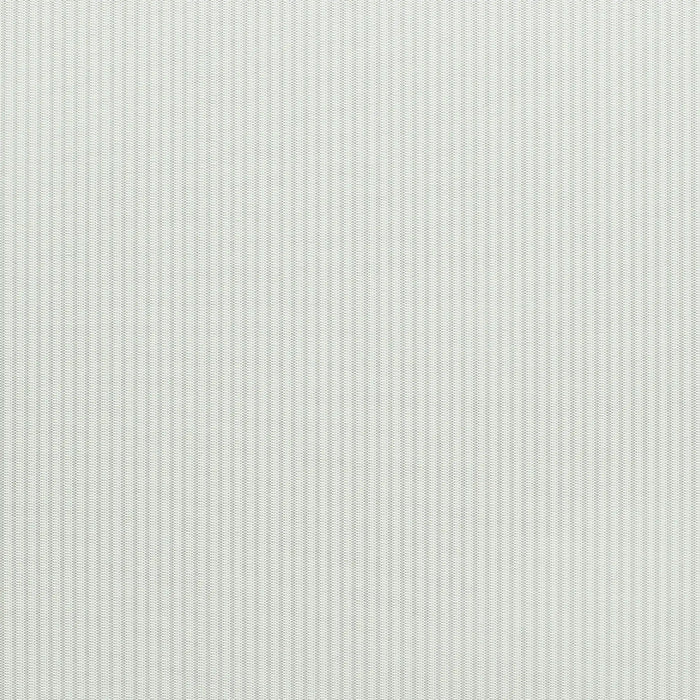 Color - White (Fine Lines Sheer)