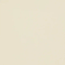 Load image into Gallery viewer, Matte Vinyl Beige