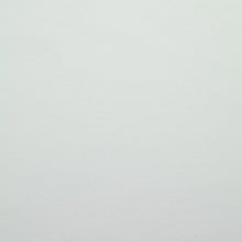 Load image into Gallery viewer, Whitney RD Oyster