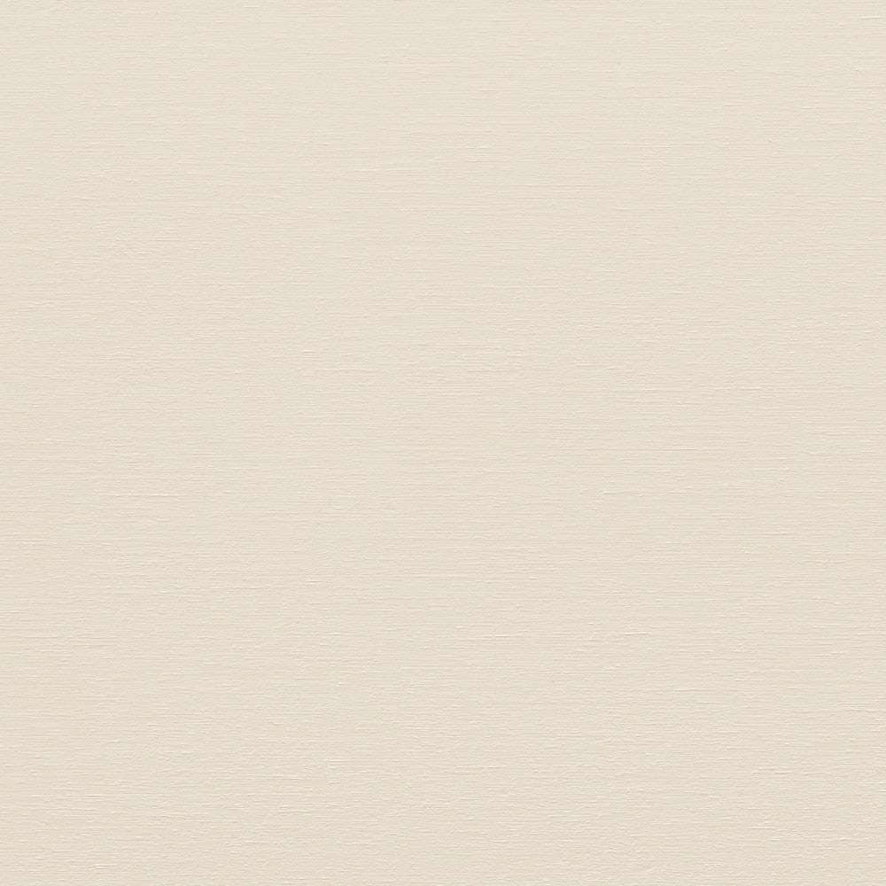 Winter White  - 2