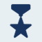 Medal icon