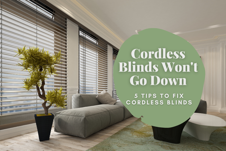 Cordless Blinds Won