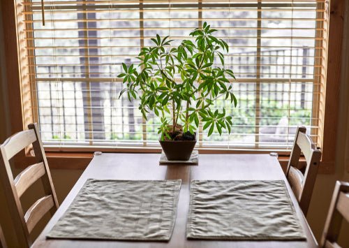 How to Measure Mini Blinds For a Perfect Fit, Every Time - Factory Direct Blinds