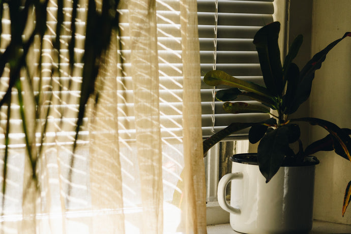 How to Clean Venetian Blinds at Home & Maintain Them Indefinitely