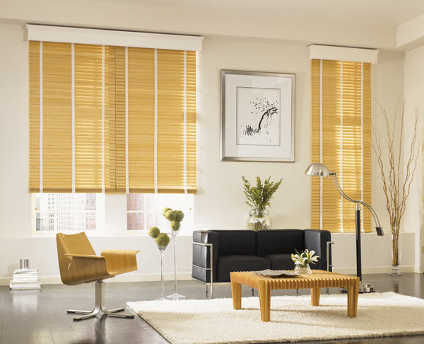 5 Simple Examples of Wood Blinds