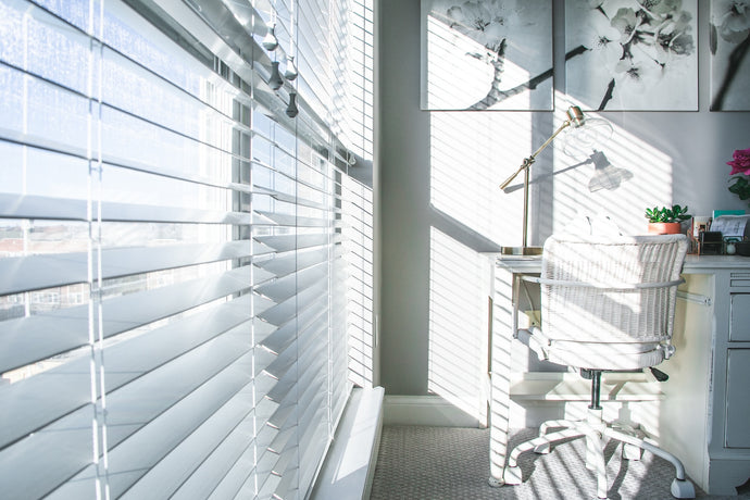 Top Picks: Best Blinds for Windows in Modern Homes