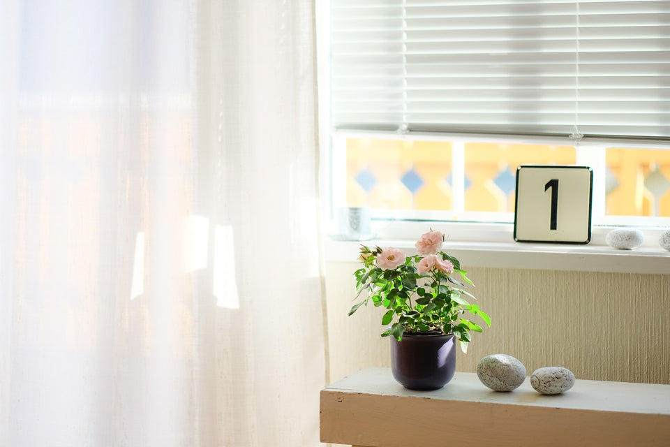 Cellular Blinds Buying Guide: Energy Efficiency Meets Style