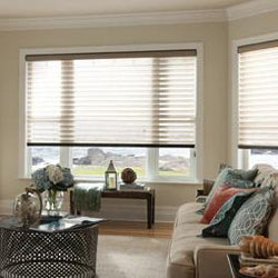 [Free Sample] - Zebra Shades