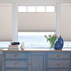 1/2" Budget Single Cell Blackout Cordless TDBU