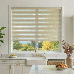 Light Filtering Zebra Roller Shades