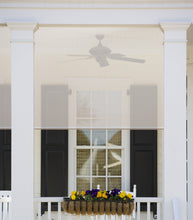 Load image into Gallery viewer, Premier 10% Solar Screen Roller Shade
