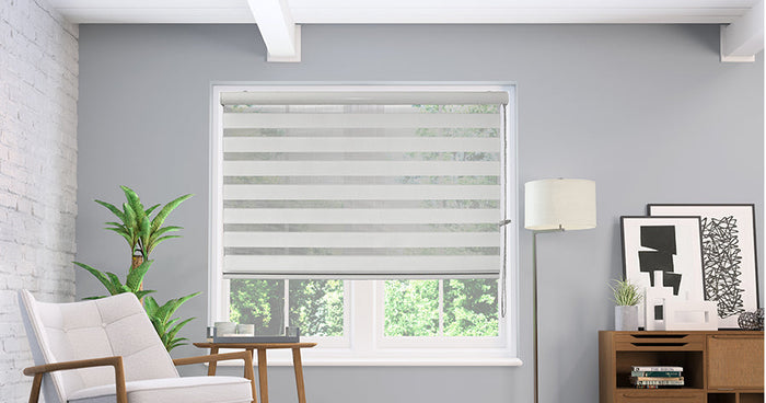 Zebra Solar Roller Shades