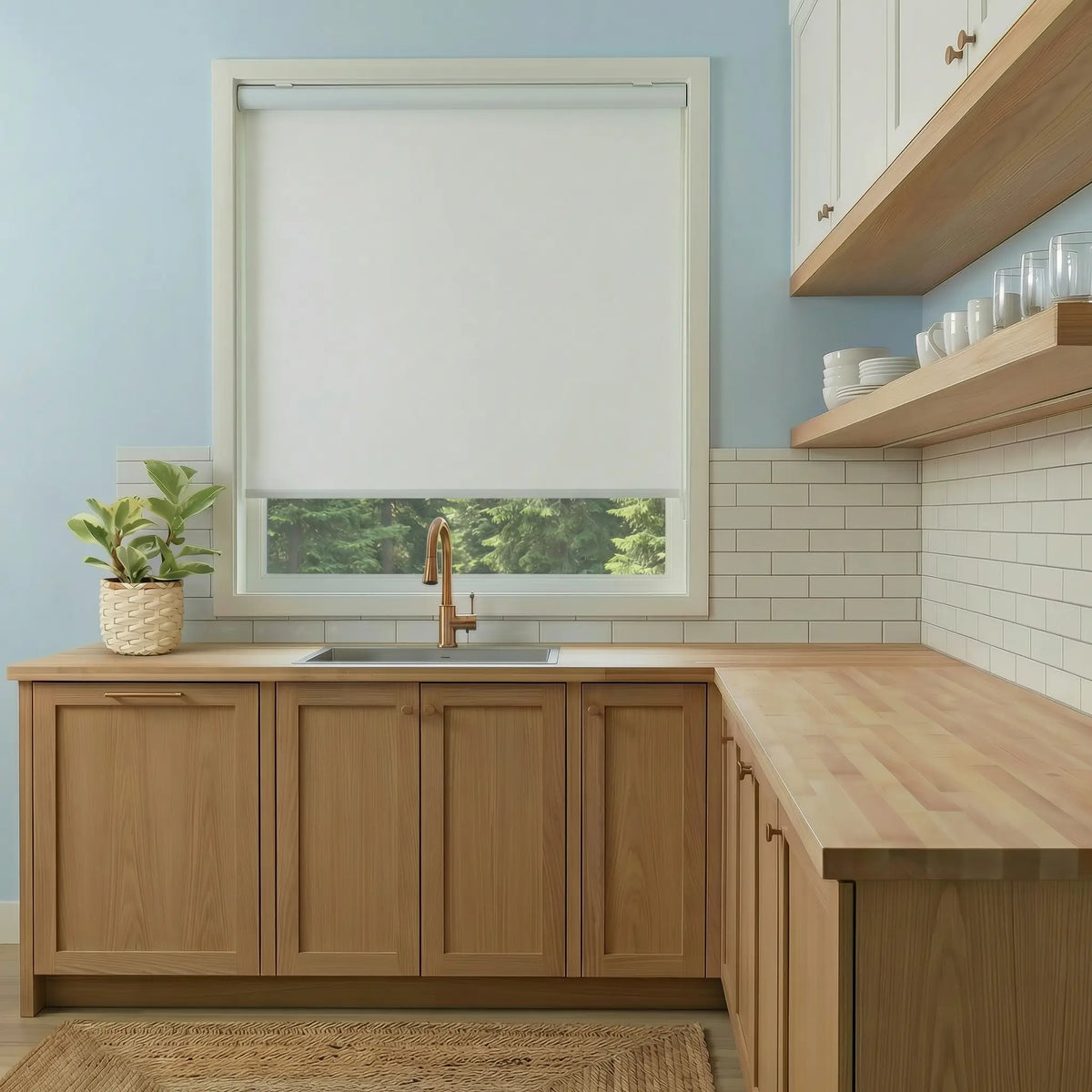 Premier 1% Solar Screen Roller Shades