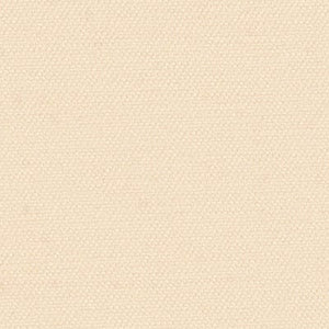 Color Color - Sand Dollar Contemporary