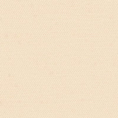 Color Color - Sand Dollar Contemporary
