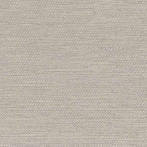 Color Color - Smokey Beige Contemporary