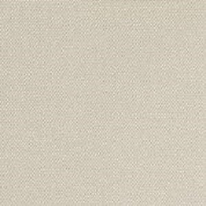 Color Color - Natural Tan