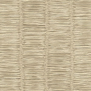 Color Color - Jenny Sesame