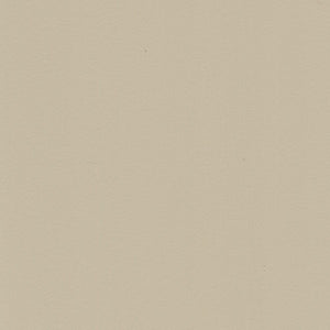 Free Samples Tan - 3 1/2" Classic Curved PVC Smooth Verticals