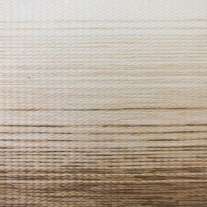 Free Samples Madera Ivory Zebra - Zebra Roller Shades