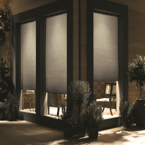 Cellular Shades and Blinds, Parent 3/8" Budget Double Cell Light Filtering Cordless