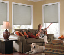 Load image into Gallery viewer, Cellular Shades and Blinds, Parent 3/8&quot; Budget Double Cell Light Filtering Cordless
