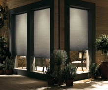 Load image into Gallery viewer, Cellular Shades and Blinds, Parent 3/8&quot; Budget Double Cell Light Filtering Cordless
