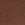 Color Cordovan Brown P1641 - 2