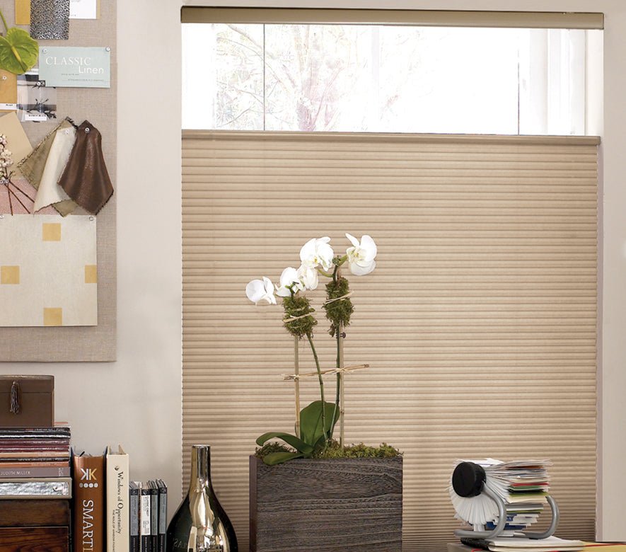 3/8" Budget Single Cell Light Filtering Top - Down/Bottom - Up Shades - Factory Direct Blinds