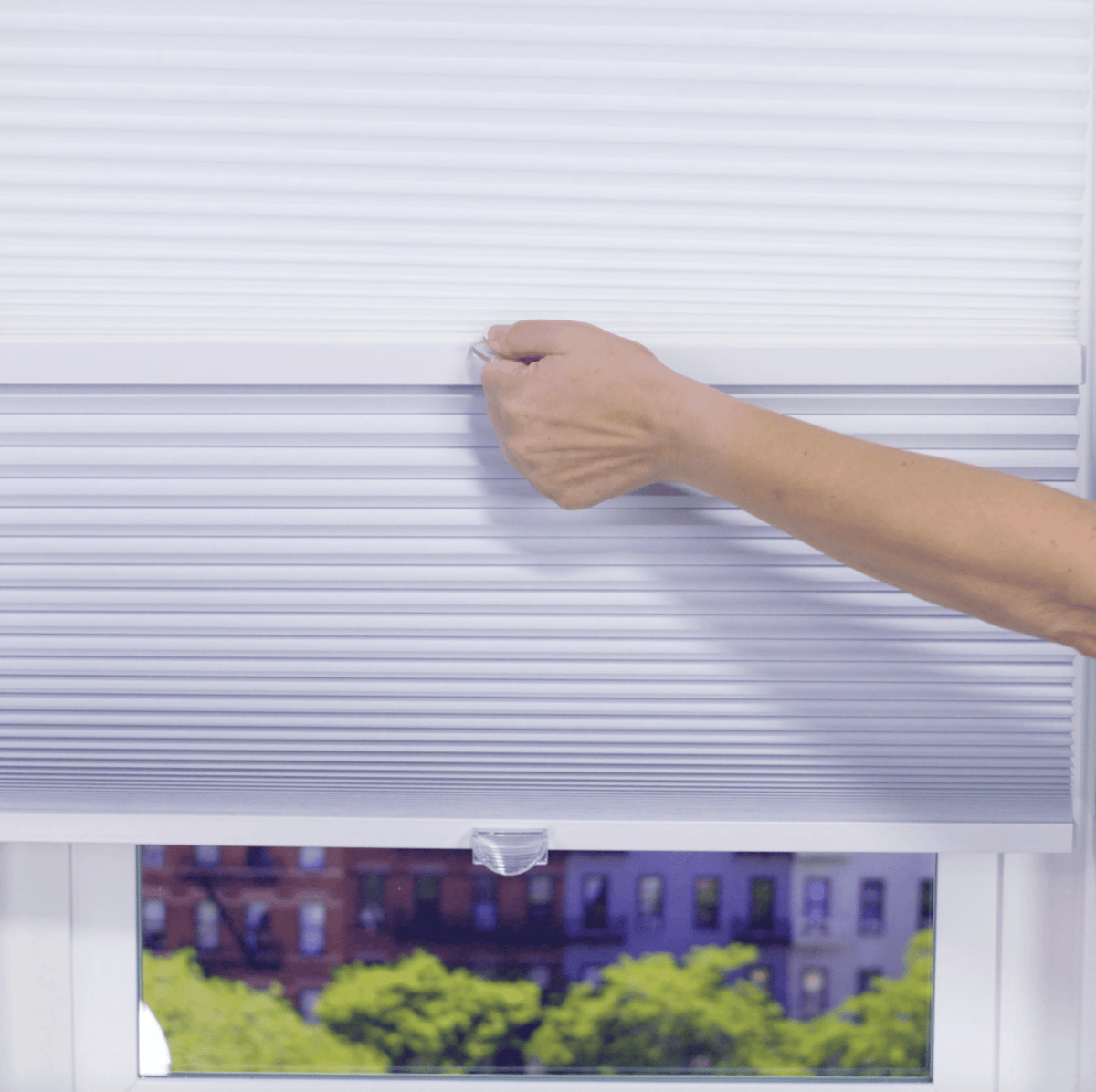 5/8" Day/Night Single Cell Cellular Cordless Shades - Factory Direct Blinds