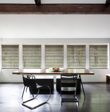 Load image into Gallery viewer, Lumi Light Diffusing Sheer Shades
