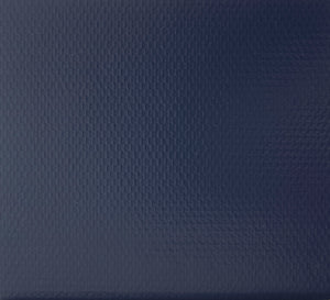 Color - Navy/White Backing EBV
