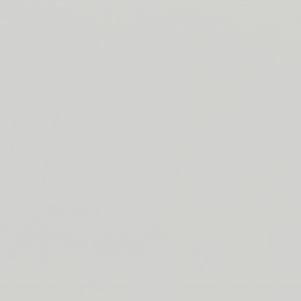 Color - Smokey Grey Classic Mini