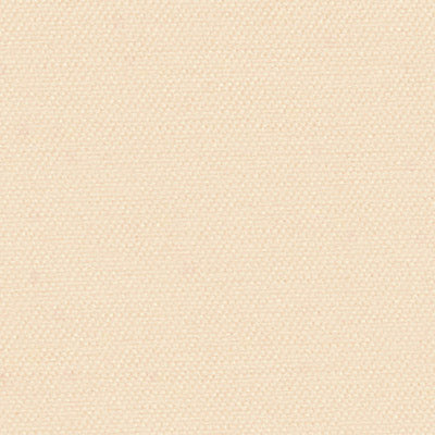 Sand Dollar - Contemporary Roller Shades