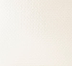 White/White EBV - Economy Basic Vinyl Blackout Roller Shades