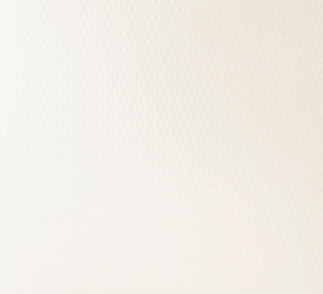 Color - White/White EBV