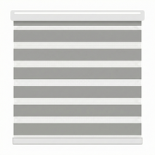 Load image into Gallery viewer, Fabric Insert Cassette - Zebra Shades
