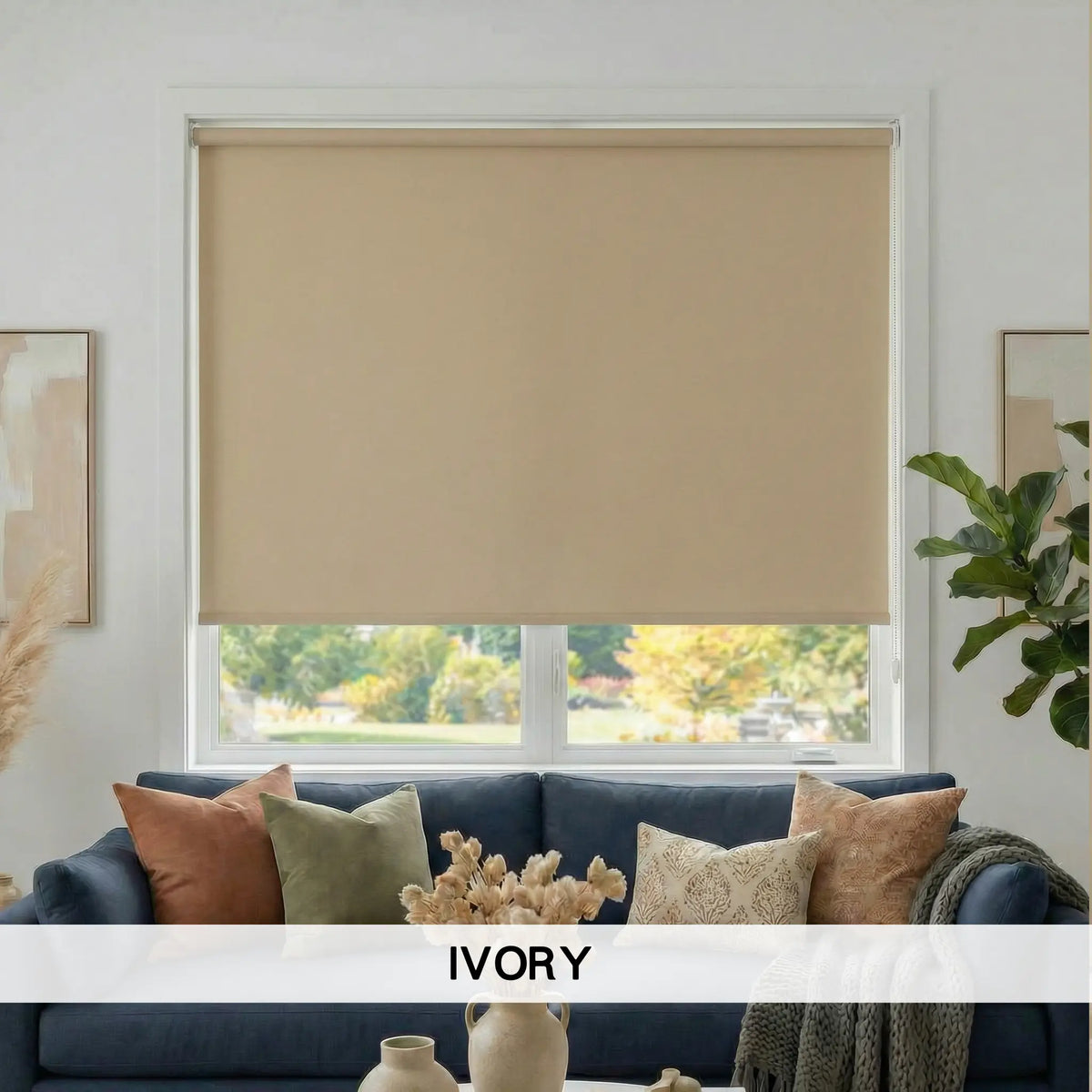 Premier 1% Solar Screen Roller Shades
