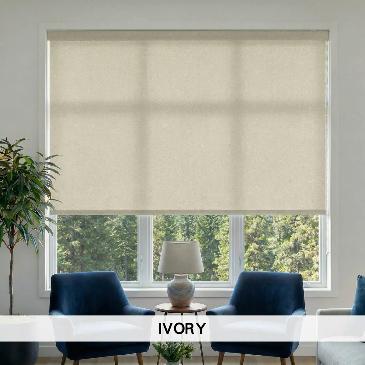 Classic Fabric Light Filtering Roller Shades