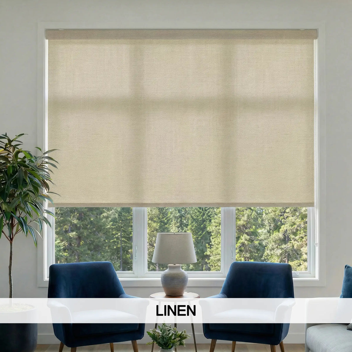 Classic Fabric Light Filtering Roller Shades