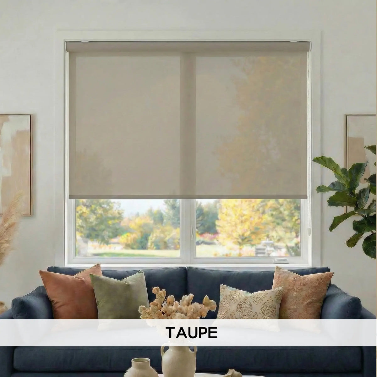 Premier 3% Solar Screen Roller Shade