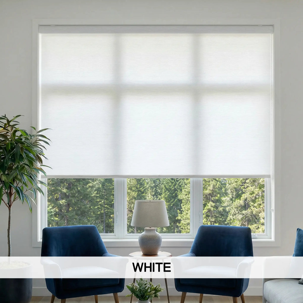 Classic Fabric Light Filtering Roller Shades