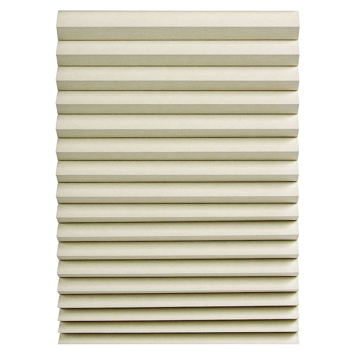 Color - Daylight BLKOUT - Factory Direct Blinds