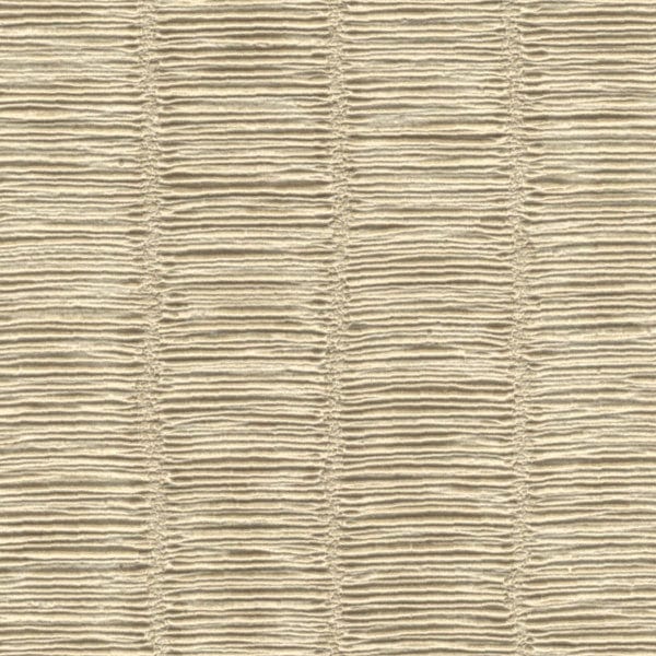 Color - Jenny Sesame