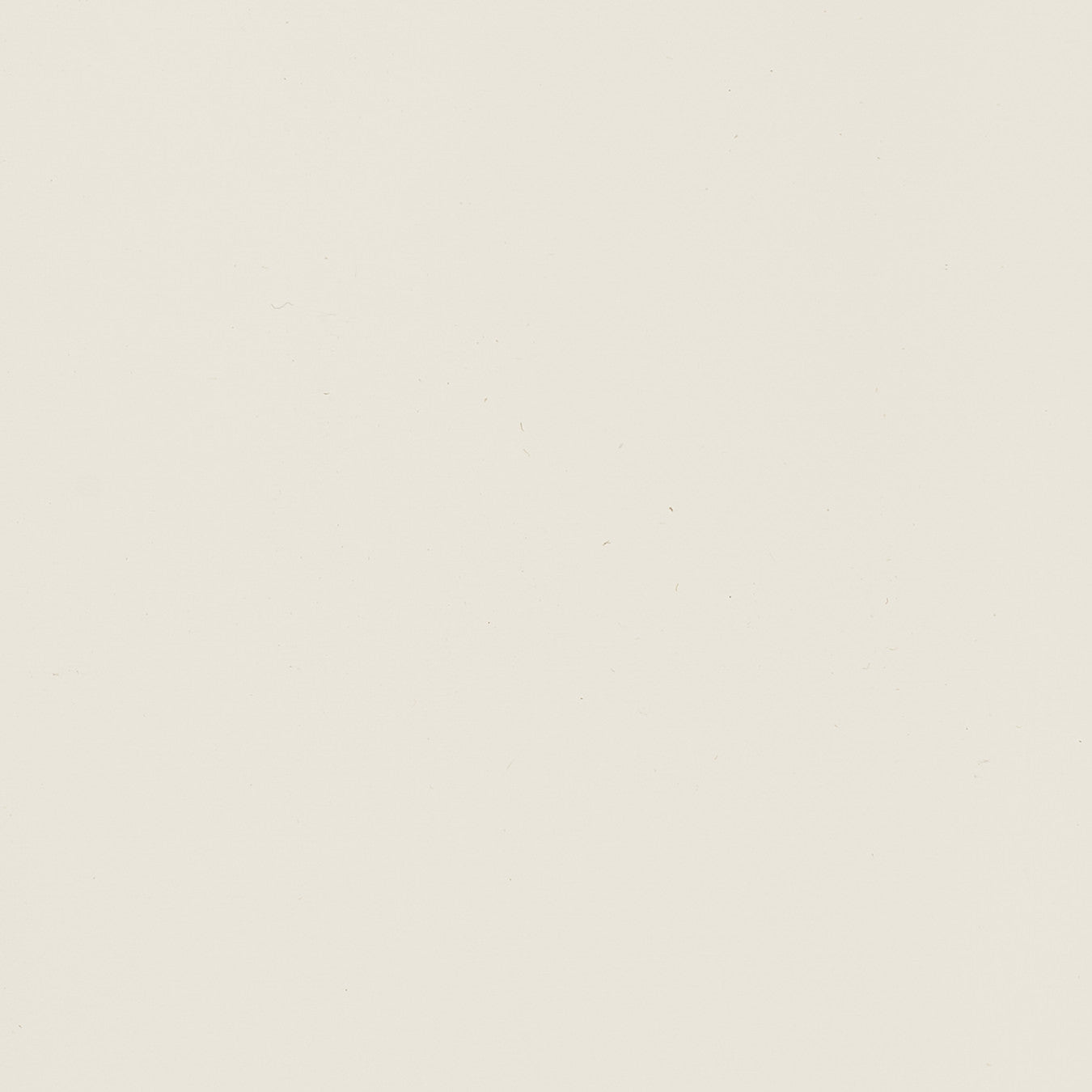 Color - Light Beige - Factory Direct Blinds