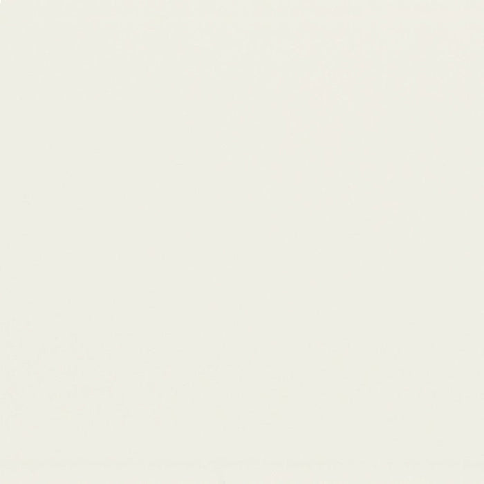 Color - Matte White Classic Mini