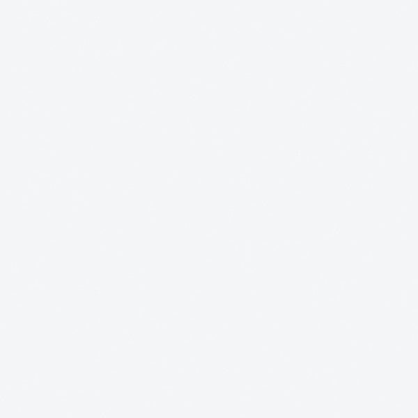 Color - White Satin 2