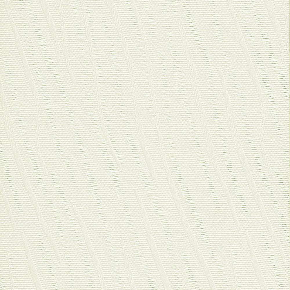 Costa Rica Seashell - 3 1/2