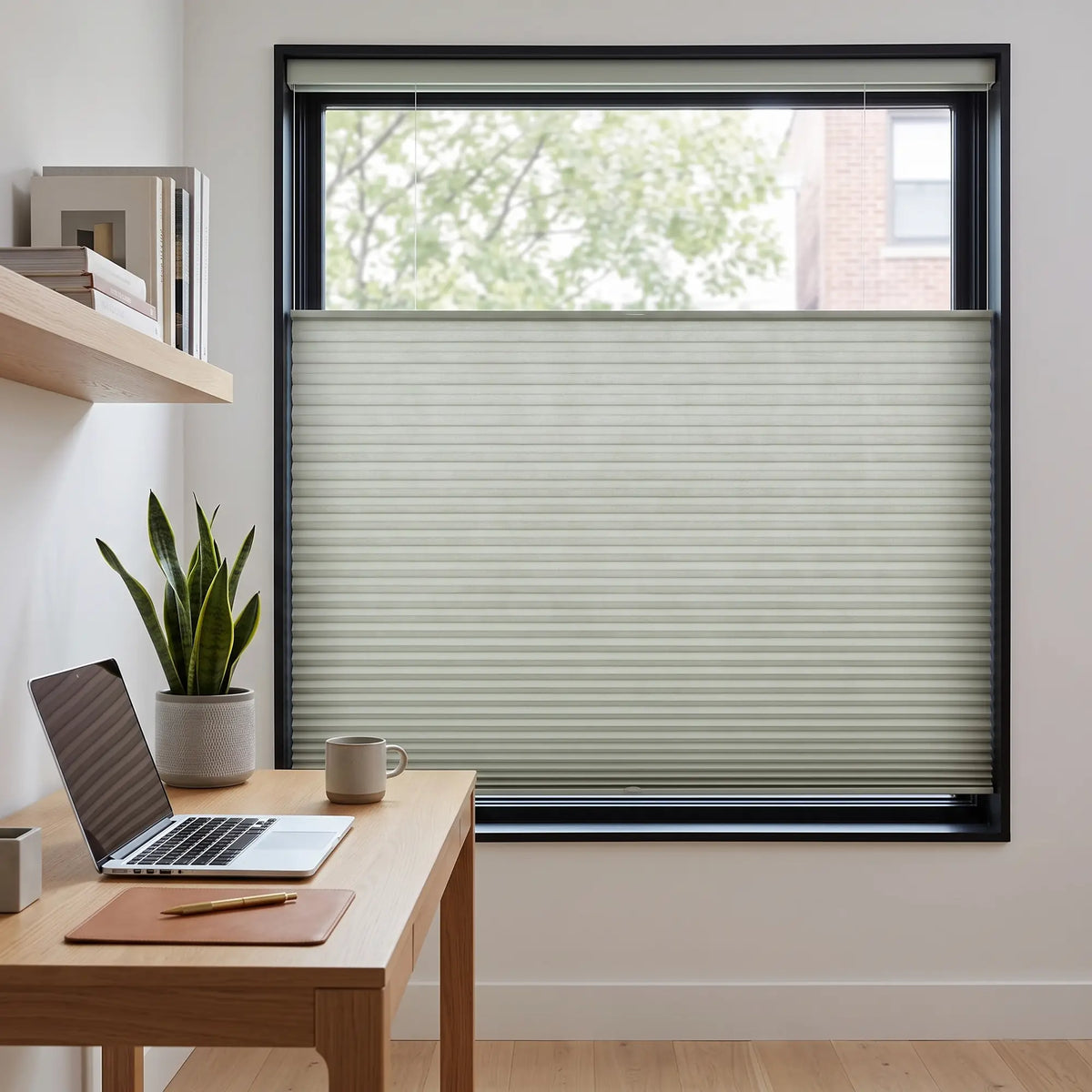 Simplistic Cordless Tdbu Pleated Shades in cream effortlessly filter natural light, casting a warm glow on this studious space, where wood and greenery converge.